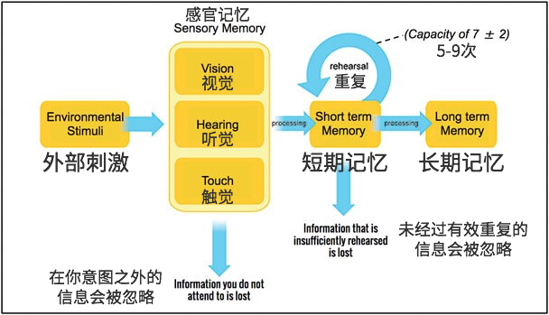 記憶的工作原理與設計訣竅