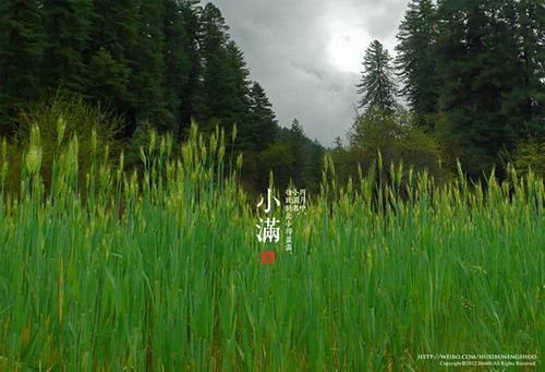 圖片配文的小技巧