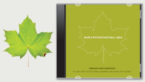 如何創(chuàng)作簡潔的“一線式”設(shè)計