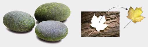 版面排版的五個技巧