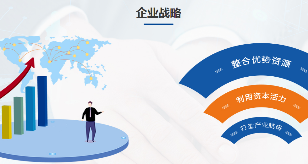 企業戰略 企業戰略